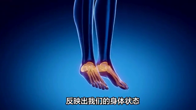 一分钟带你了解人类脚部的精密结构