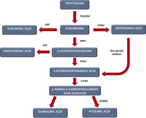 初次治疗重度抑郁症使用第二代抗抑郁药或认知行为疗法的对比
