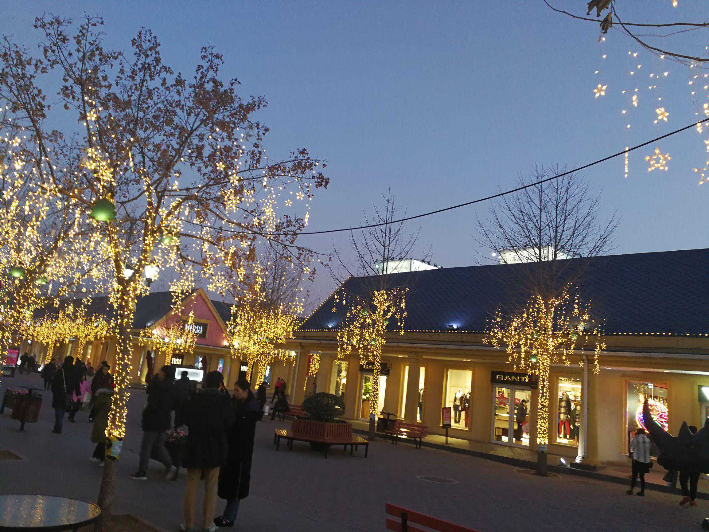 中国指纹识别系统行业竞争形式及投资策略研究报告2024-2030年