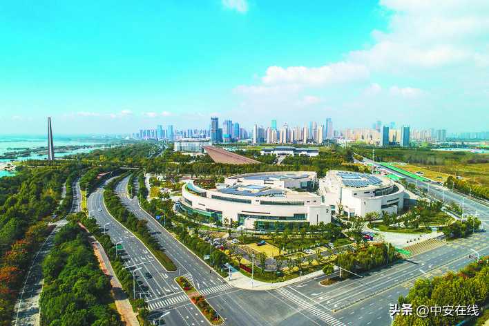 巢湖岸边，有座“科技市场”