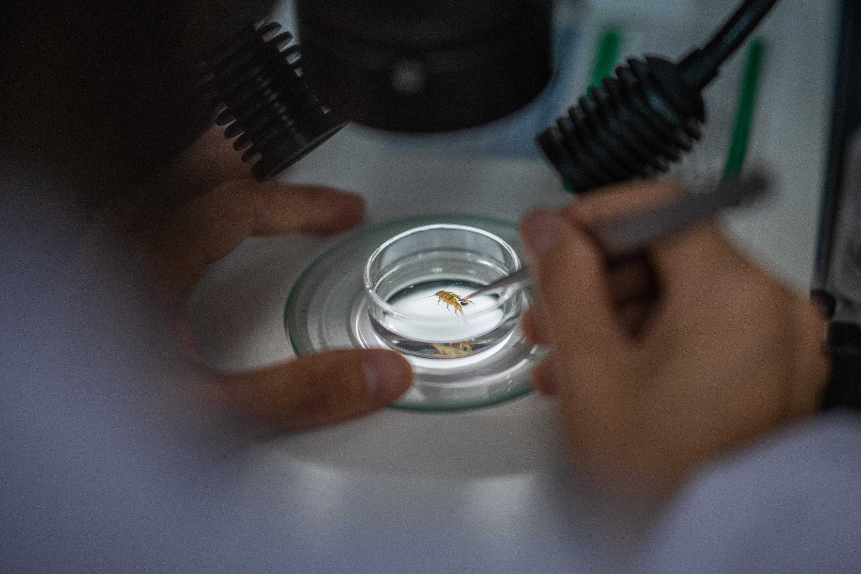 （科技）与“水下哨兵”的奇妙相遇