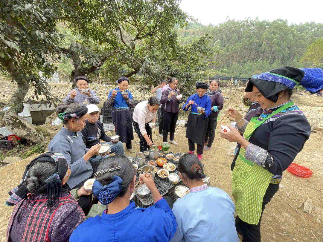 科技赋能 小菌菇撑起乡村振兴“致富伞”