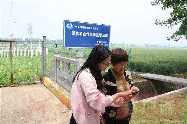 田野里的黑科技丨“藏粮于技”的气象密码