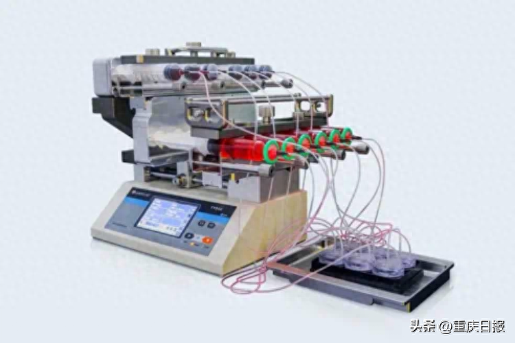 把器官“种”在芯片上！明月湖“黑科技”又上新