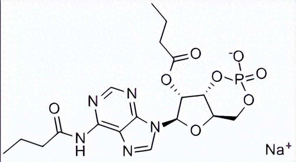 二丁酰环磷腺苷钠 | 16980-89-5 | 瑞威尔生物科技