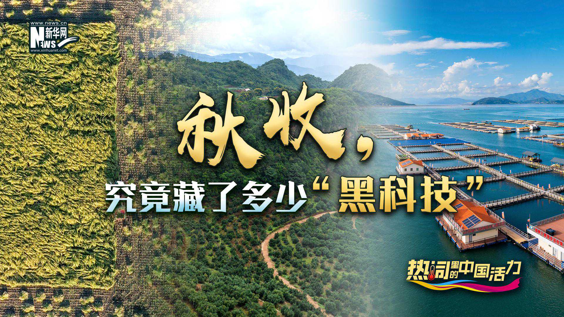 热词里的中国活力丨秋收，究竟藏了多少“黑科技”？