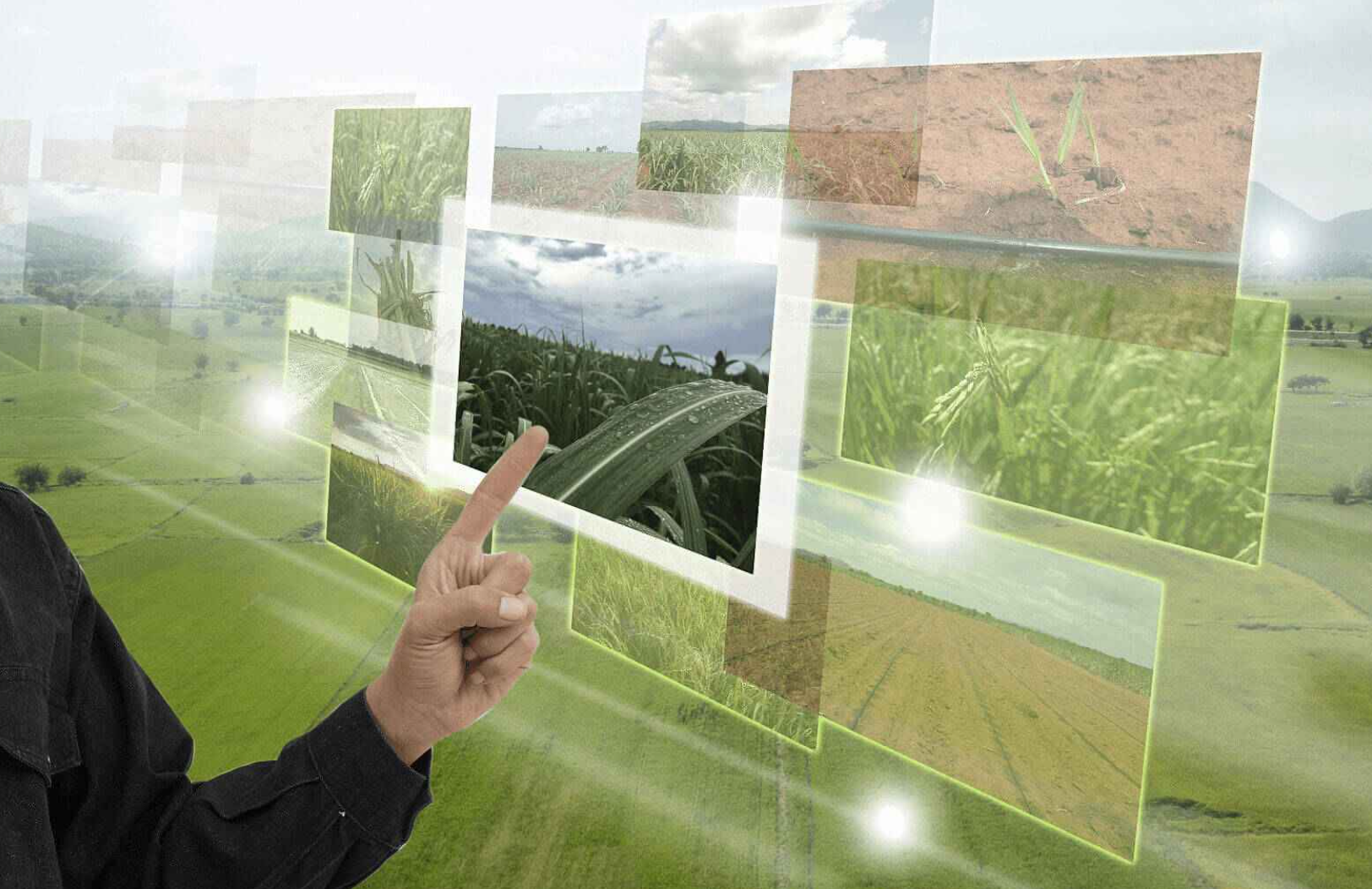 用AI赋能农业，丰码科技打造可持续栽培“决策平台”