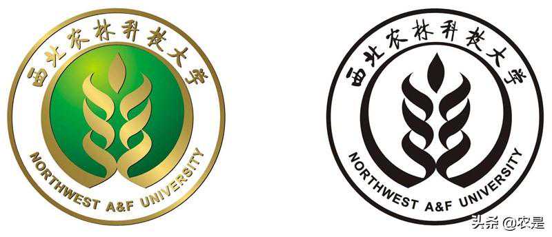 王昕（女），西北农林科技大学教授、博导，动物育种专家