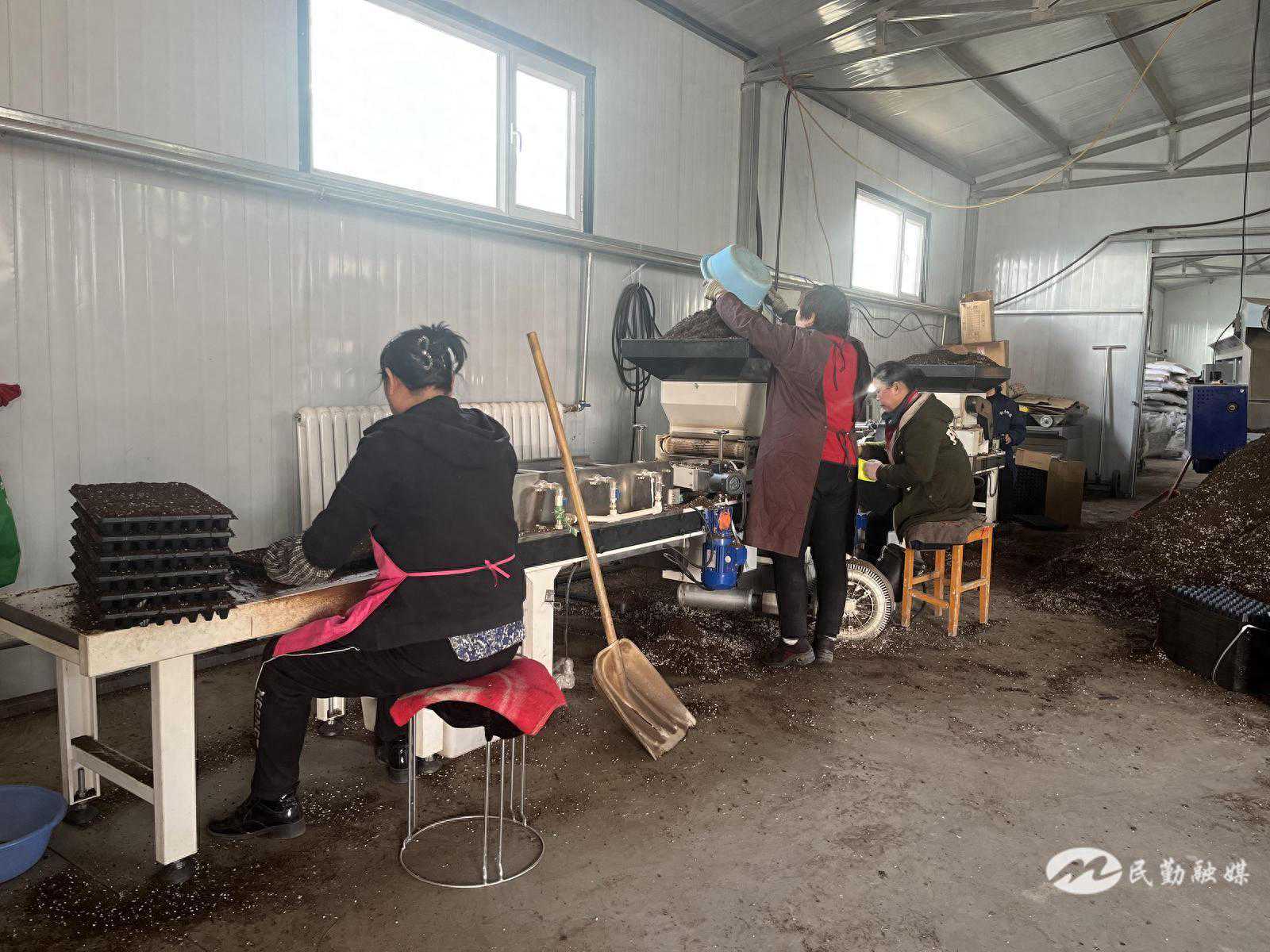 民勤县发泽种业：育苗尽显“科技范” 春耕备耕马力足