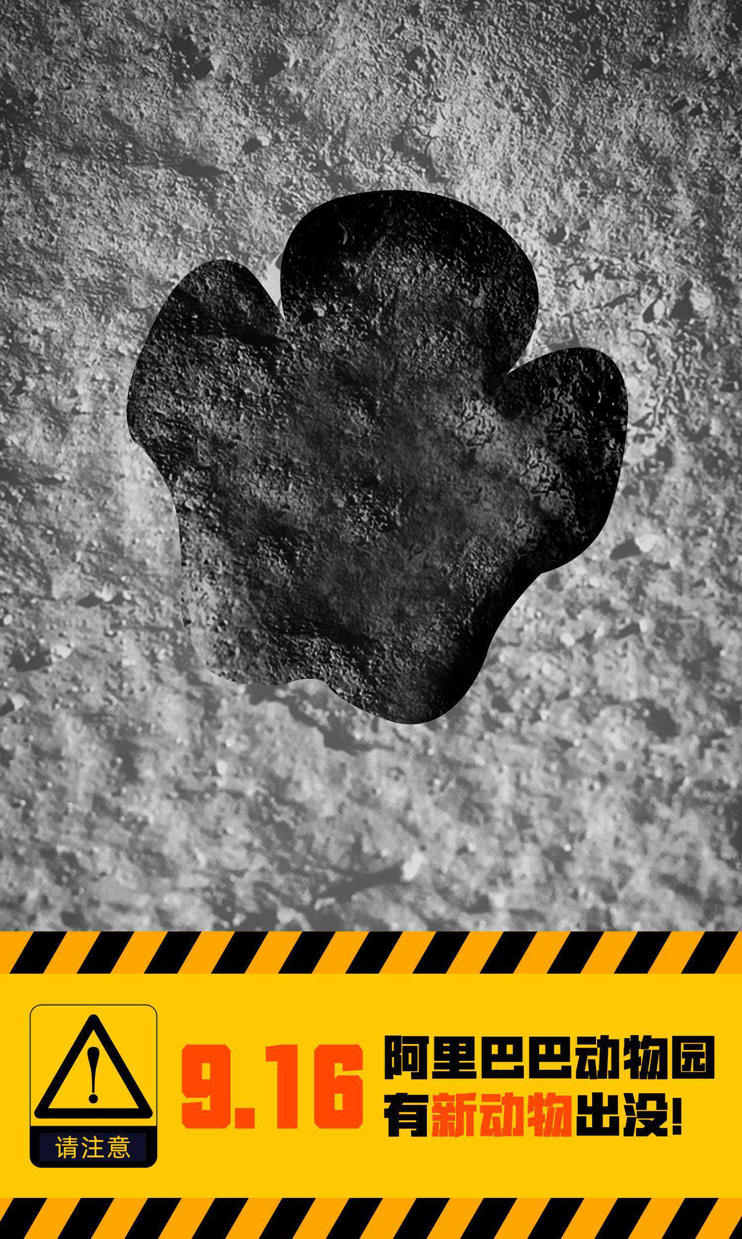 阿里巴巴将发力“新制造”，蒋凡担纲的“迅犀”科技是主力