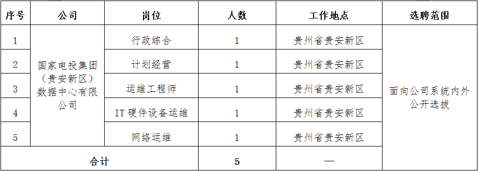 【社招】国家电投集团数字科技有限公司公开招聘公告