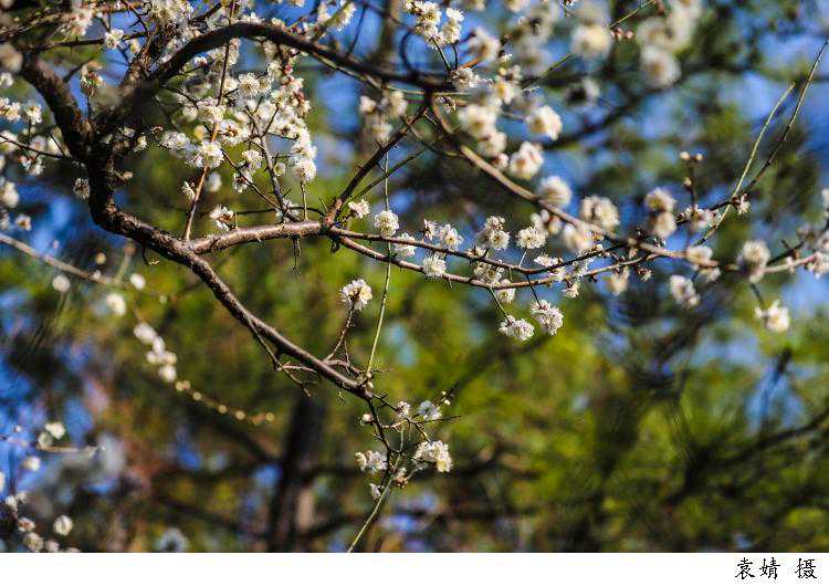 科技感+艺术范儿，春天的上海带来更多关于美的故事