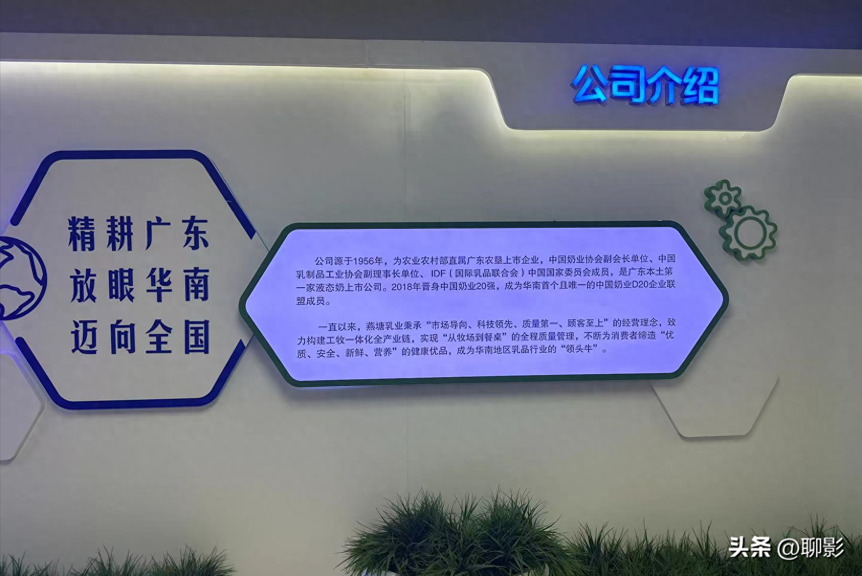 燕塘牛奶工厂实拍：神秘科技引领乳业革命，颠覆你的想象