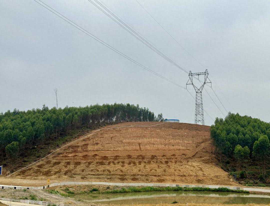 广州全力筑牢森林防火墙：无人机等“黑科技”监控火灾隐患