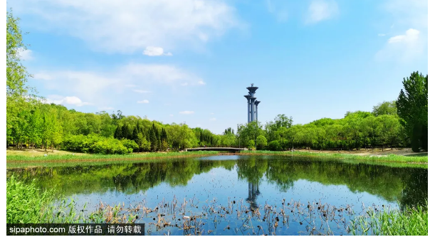 奥林匹克公园及周边游玩攻略来啦！还有科技大展可以看！