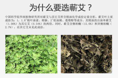 广州森茂科技有限公司外发加工的手工活手工活外发加工网