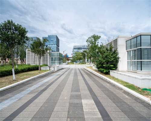 华为自研“光立方”网络在四川投入使用，每年可节省25万度电相当于多种2000棵树