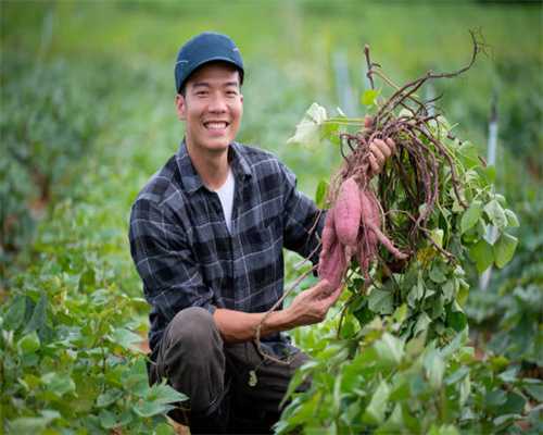 电子模块之蓝牙音频功放模块的介绍