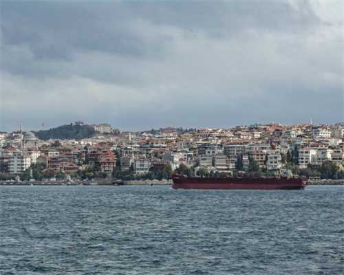 语兜、哈喽、Smart JOJO 小鸡叫叫智能玩具 对比评测