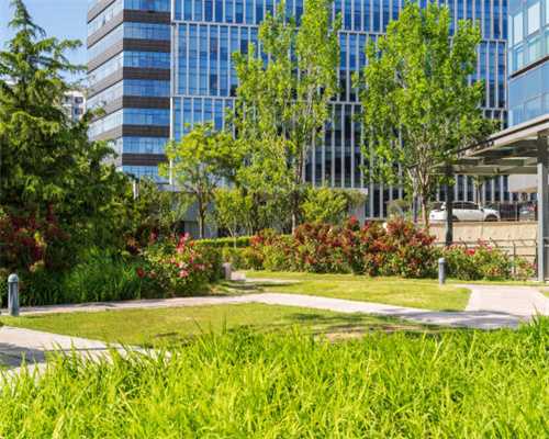 人民不是白老鼠 蓝营再吁民进党当局暂停打高端疫苗