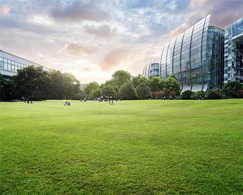 (上接C49版)华文食品股份有限公司首次公开发行股票网下发行初步配售结果公告(下转C51版)