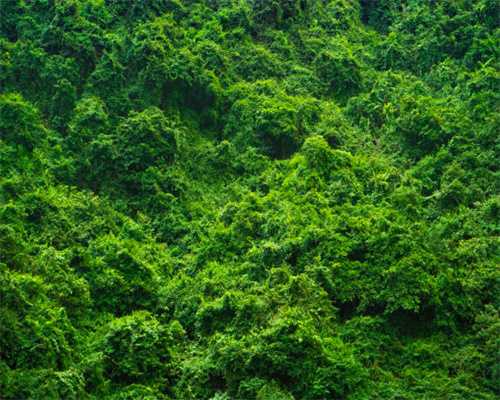 新经济这十年｜对话宗庆后：娃哈哈的智能化思考与探索