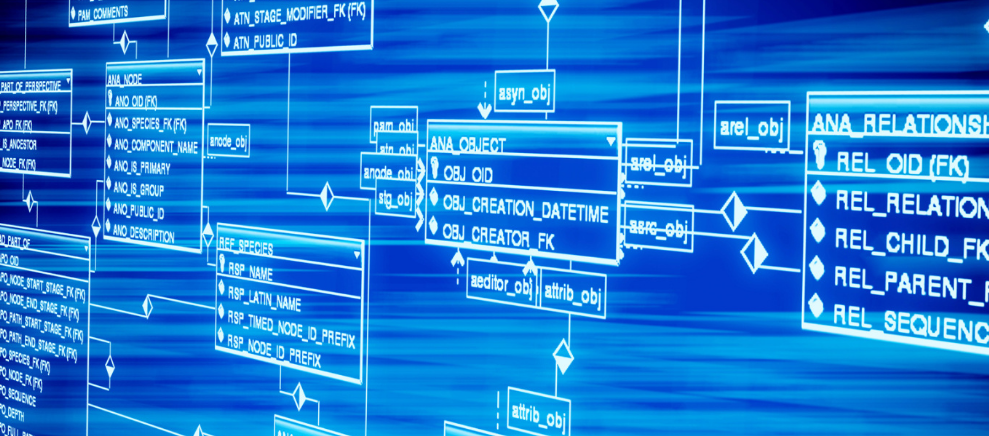 澳门回归祖国25周年｜拼搏创新，不负嘱托——习近平主席考察澳门科技大学和横琴粤澳深度合作区回访记