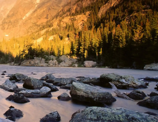 每日科技名词|卡拉胶